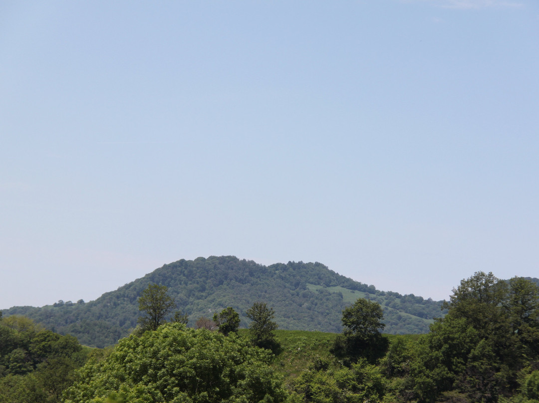 Gombori Pass景点图片