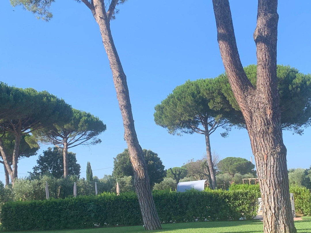 Agriturismo Podere Nonno Gino主图