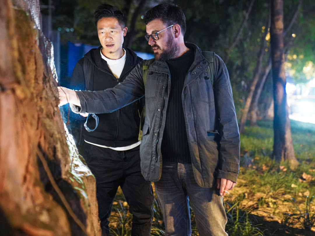 铂泊客-成都必去景点