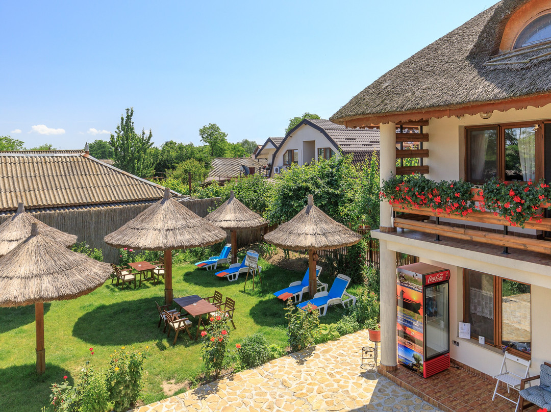 Pensiunea Dunarea Veche - Mila 23主图