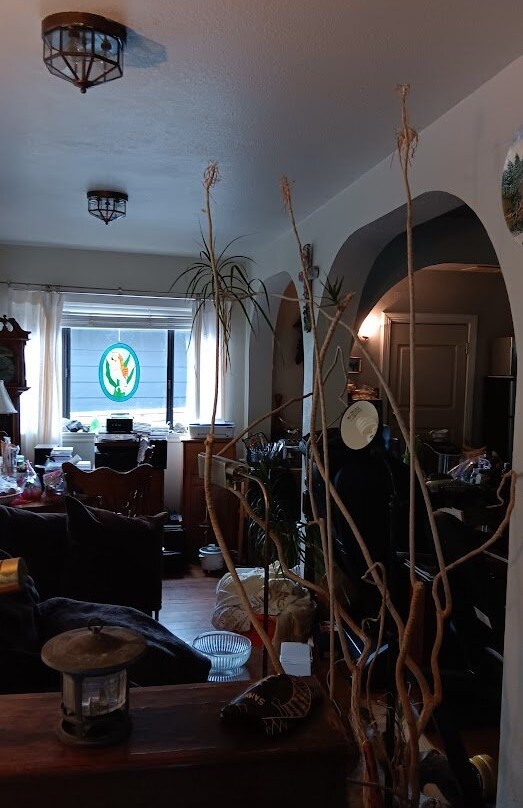 Redwoods Haus Bed and Breakfast主图