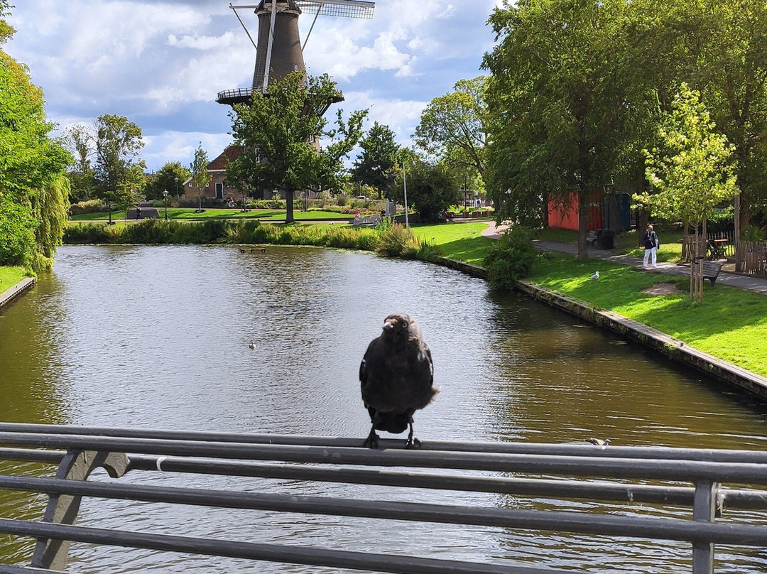 Rijn (Rhine)-莱顿必去景点