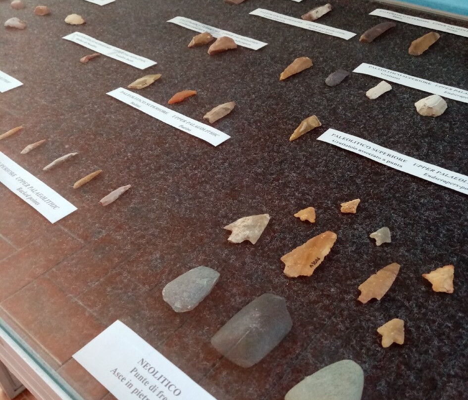 Museo Civico Antiquarium Comunale景点图片