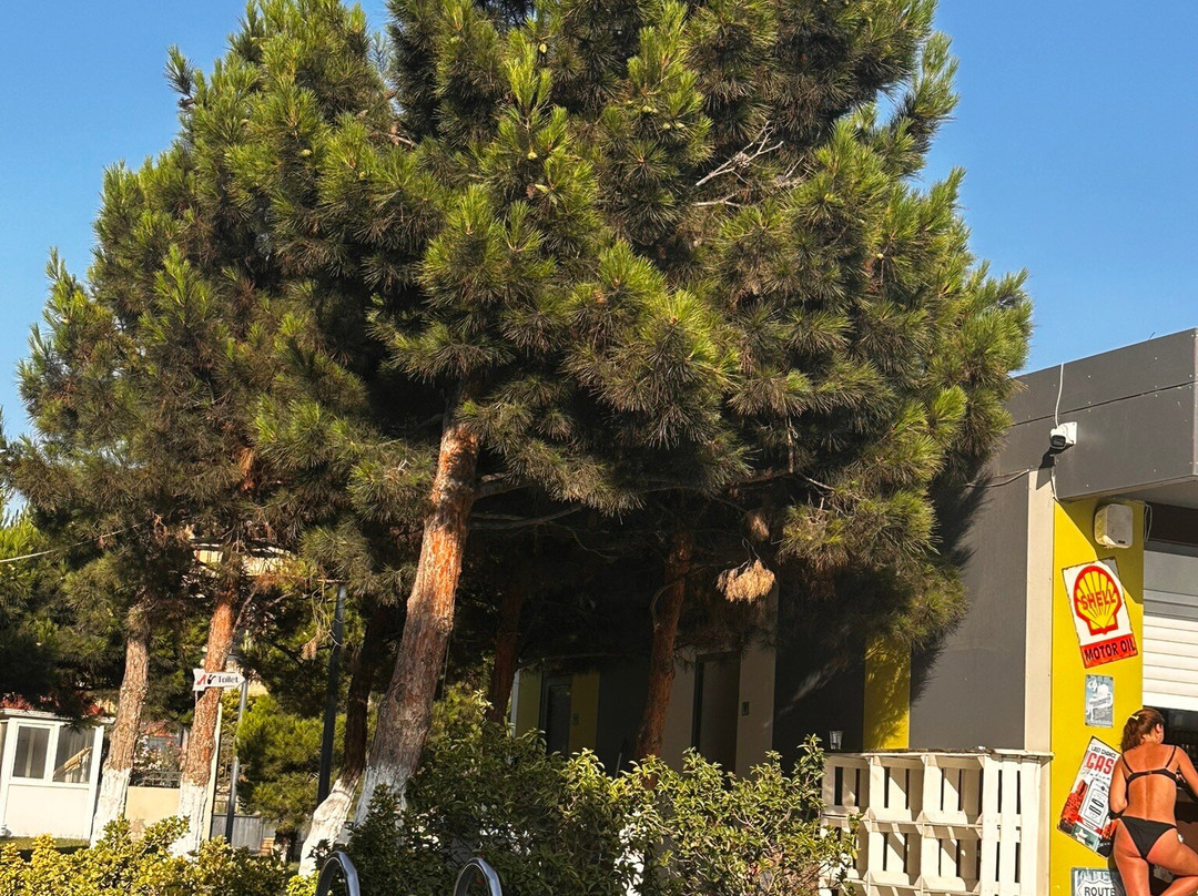 HomeBridge Hotel Apartments主图