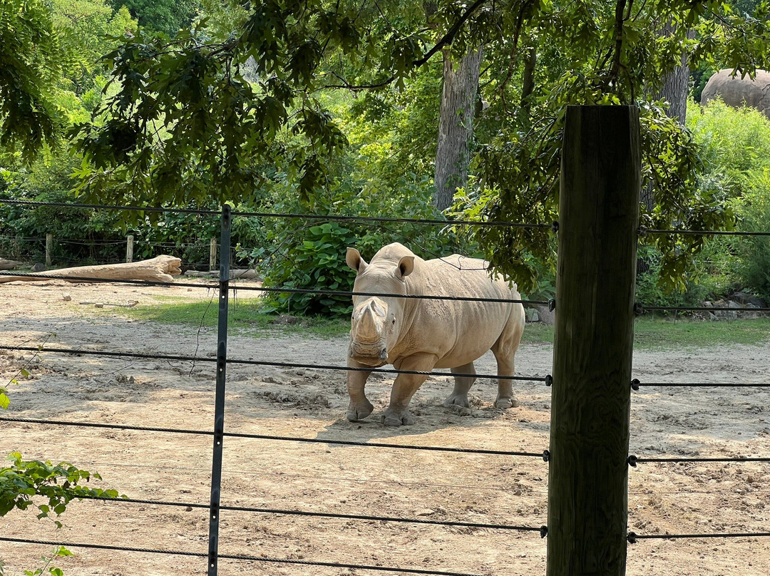 Peoria Zoo-皮奥里亚必去景点