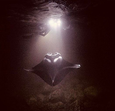 Ninth Island Nation Adventures-凯鲁瓦-柯纳必去景点