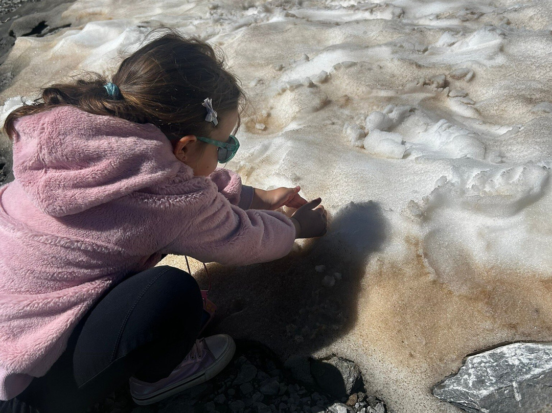 Glacier de la Grande Motte景点图片