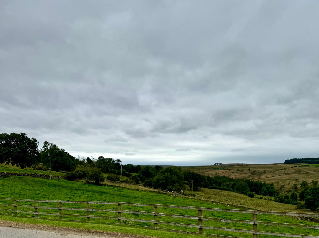 Farm Adventure Yorkshire景点图片