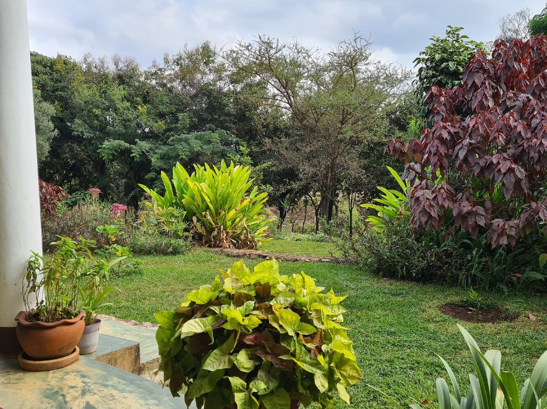 Themi View Bed & Breakfast