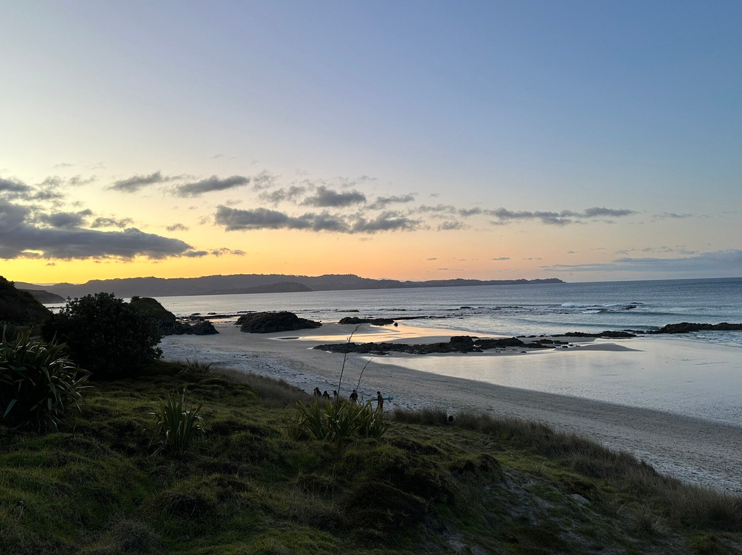 Kiwiness Tours-马塔卡纳小镇必去景点