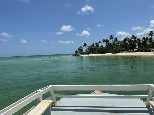 Morning star reef tours-克朗波因特必去景点