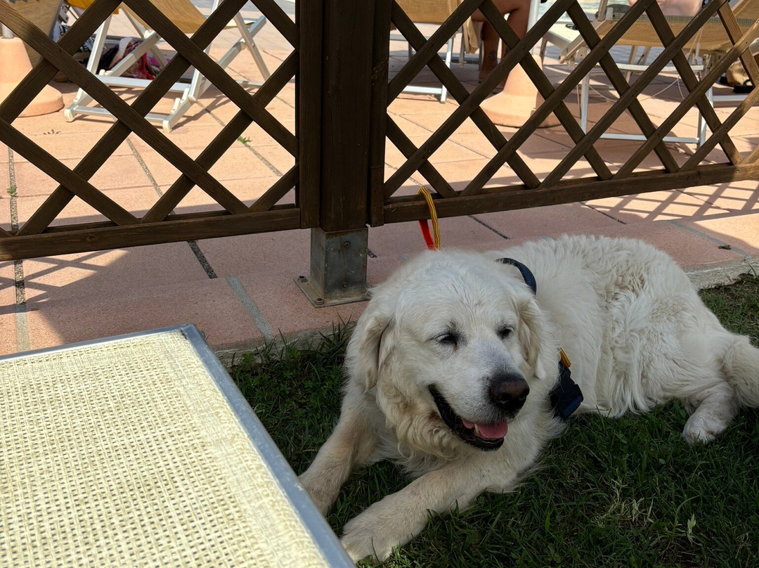 Residence Rosa dei Venti主图