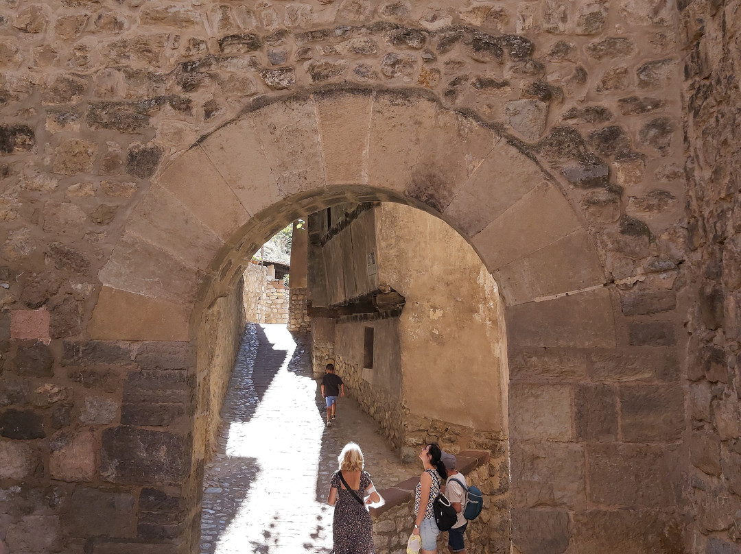 Calle Portal de Molina景点图片