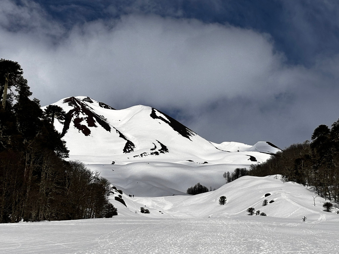 Vulcão Sollipulli-Melipeuco必去景点