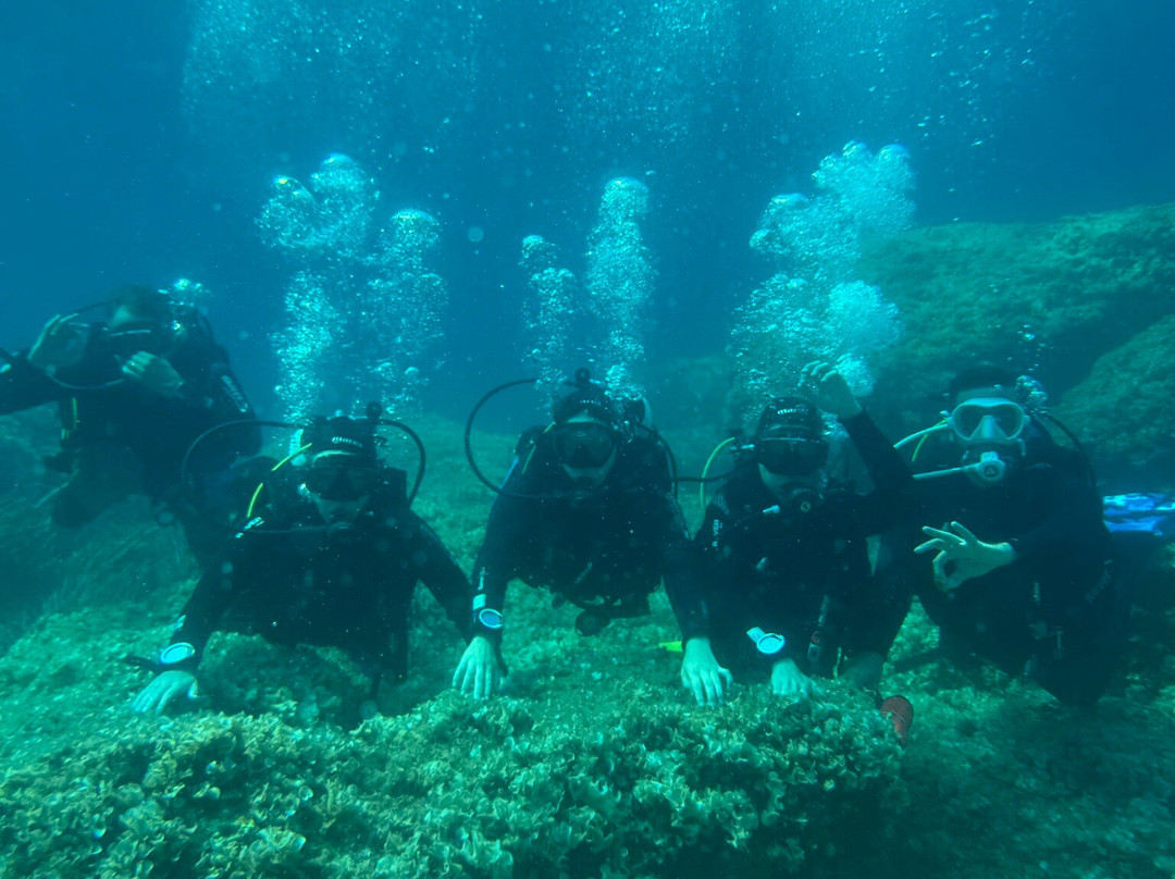 SEA STAR diving resort景点图片