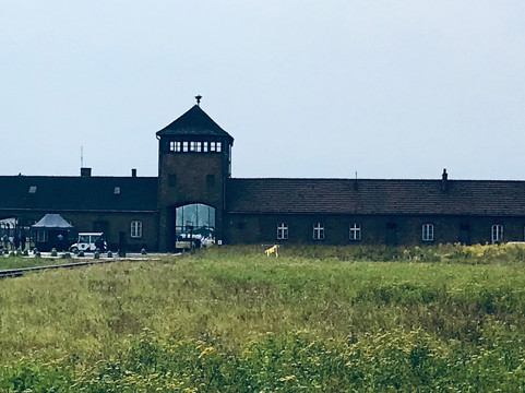 SeeKrakow Day Tours-克拉科夫必去景点