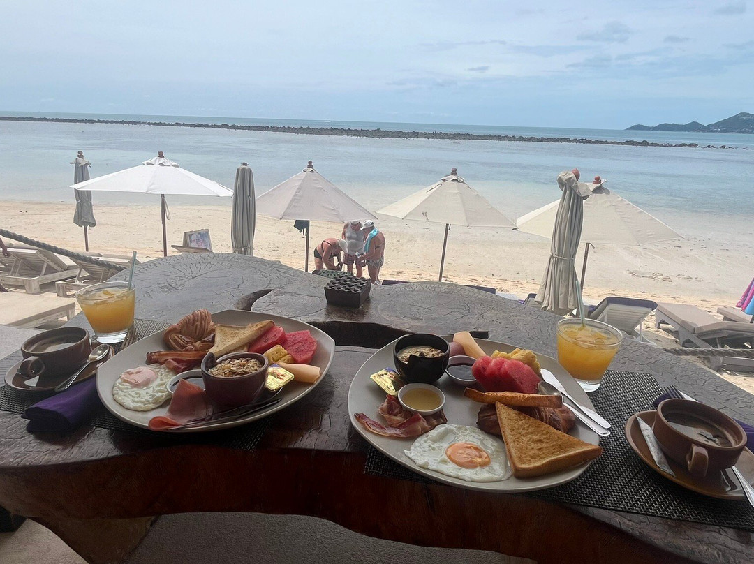 Elephant Beach Club-波普特必去景点