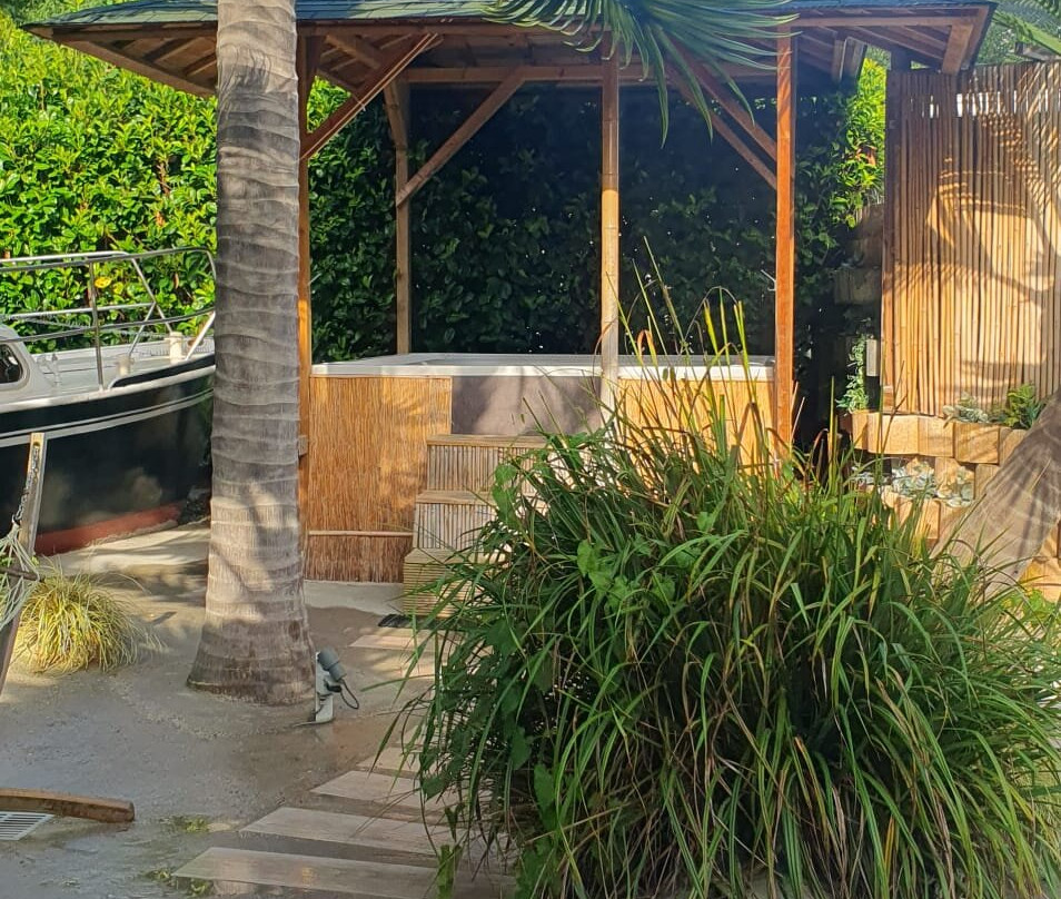 Aarts Wellness主图