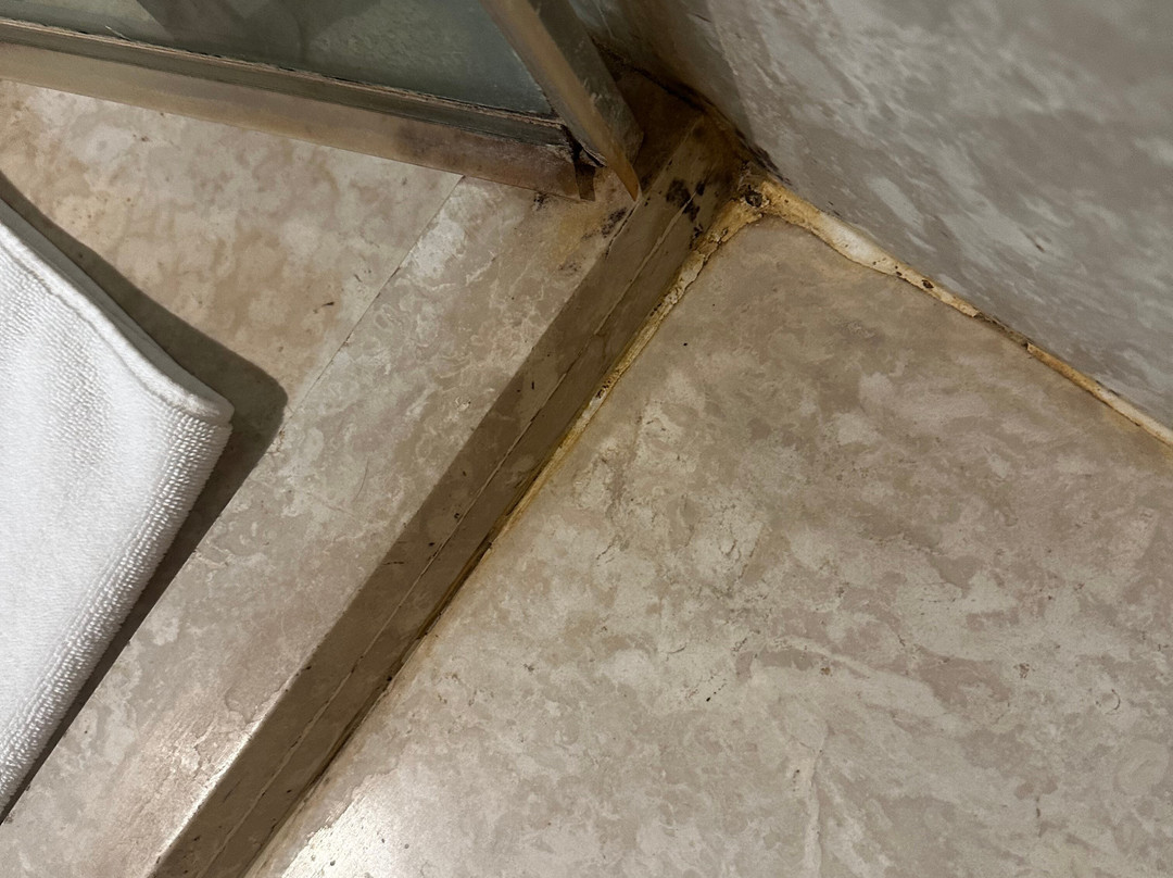 The Lalit Chandigarh主图