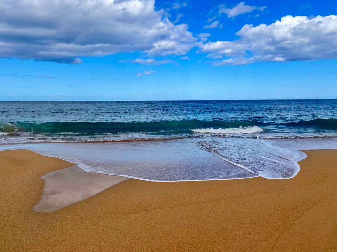 Fraserburgh Beach-Fraserburgh必去景点