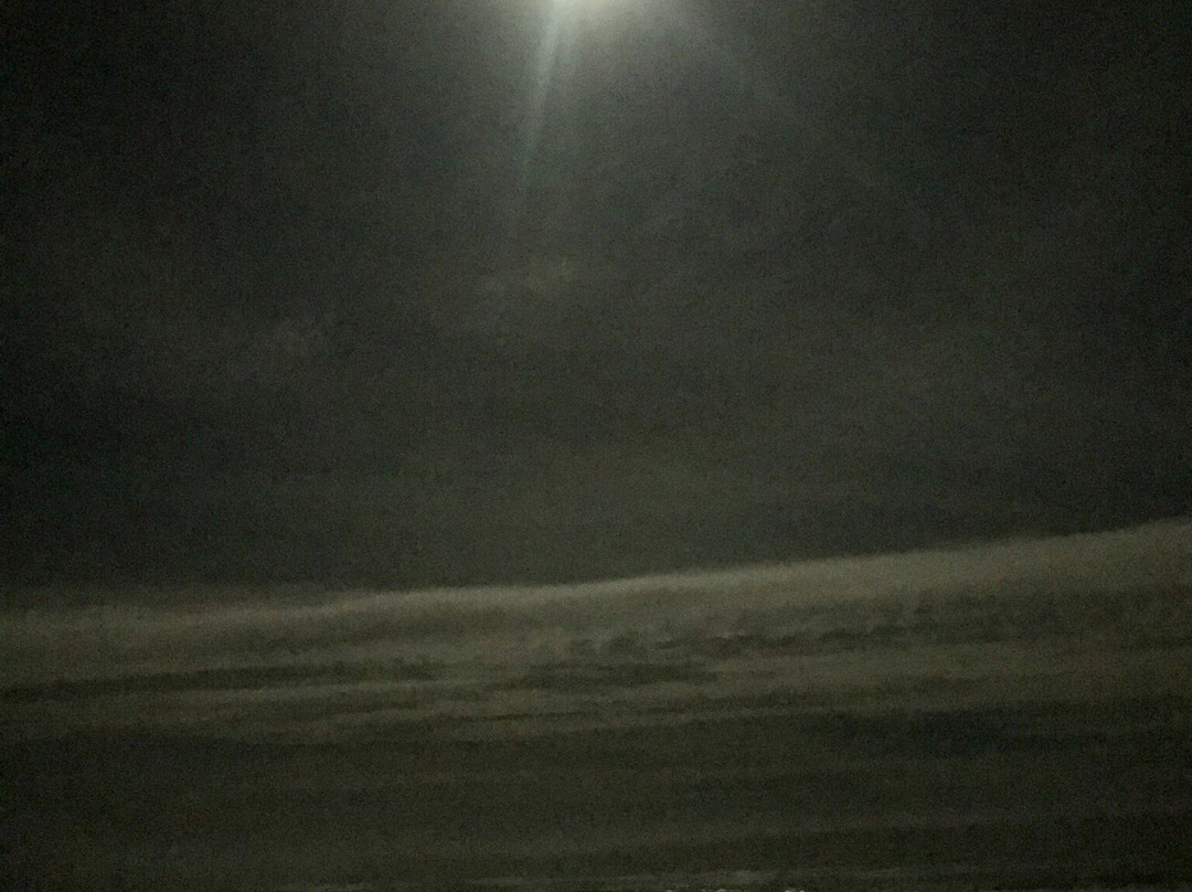 Surfside Resort主图