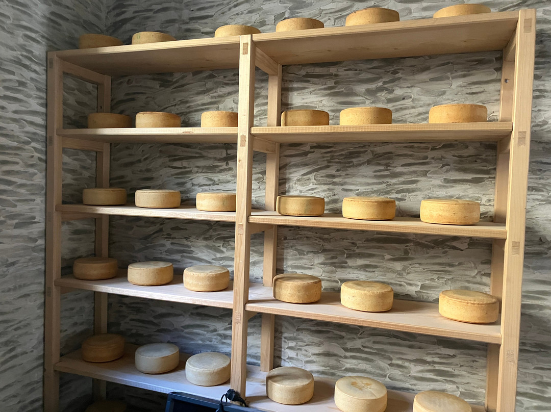 Cheese Museum景点图片