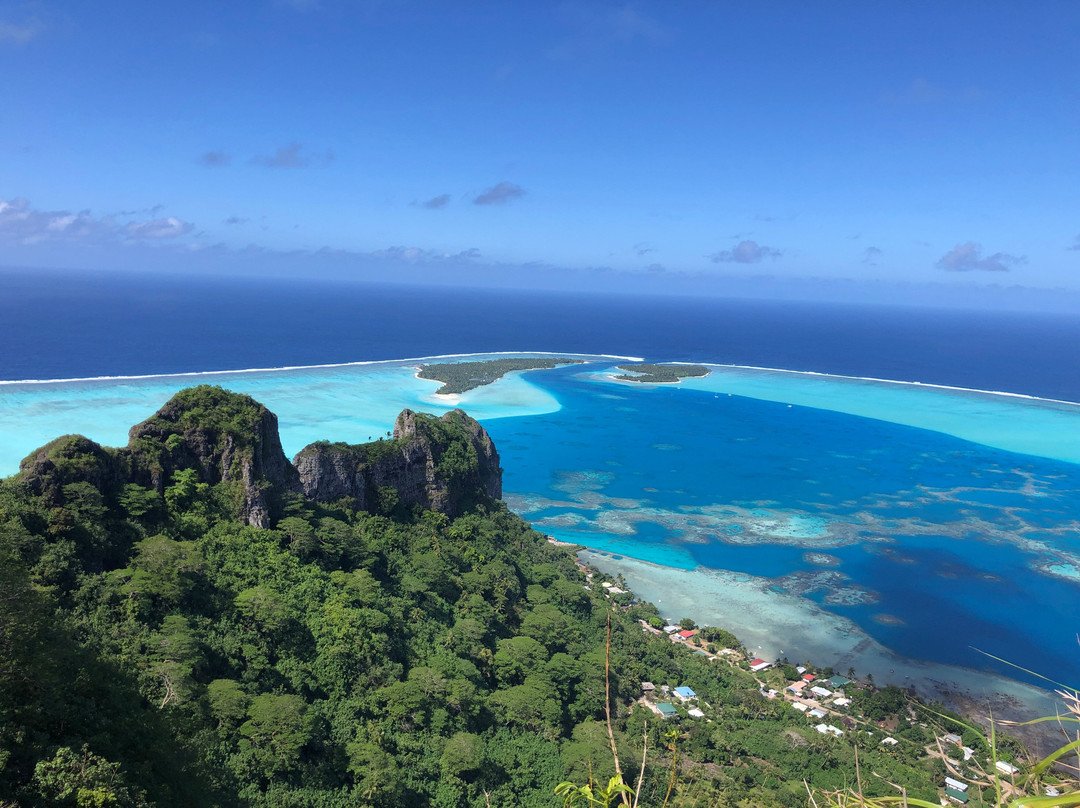 Pension Tereia主图