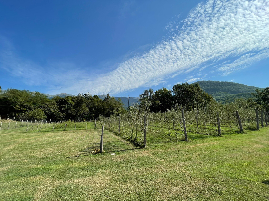 Agriturismo I Giunchi主图