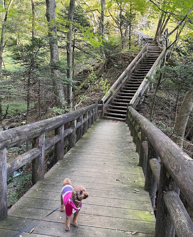 Shiobara Ravine Trail-那须盐原市必去景点