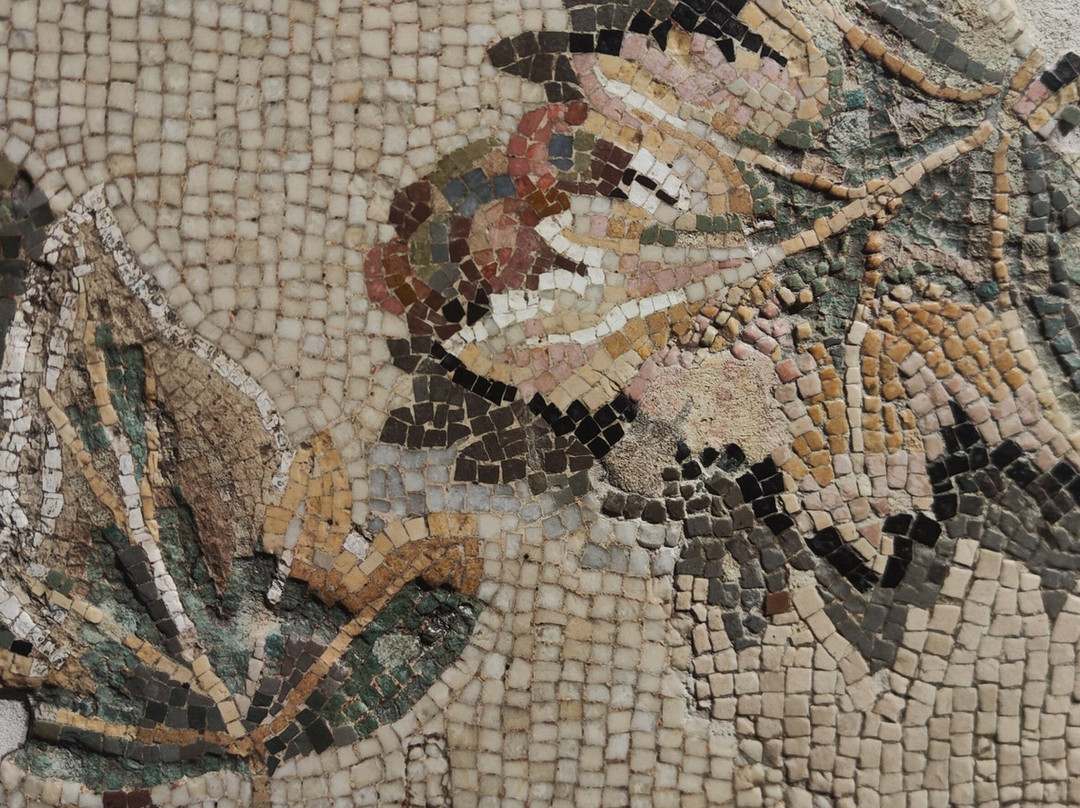 Museo Archeologico Nazionale di Aquileia景点图片
