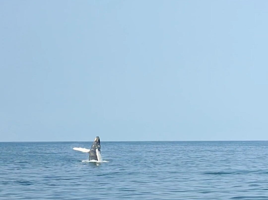 North Shore Peru Expeditions-Tumbes必去景点