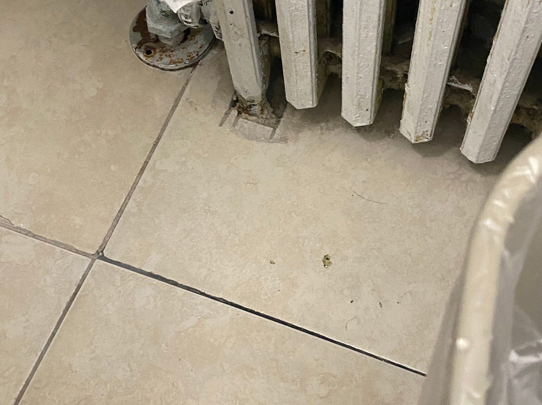 福尔斯汽车旅馆主图