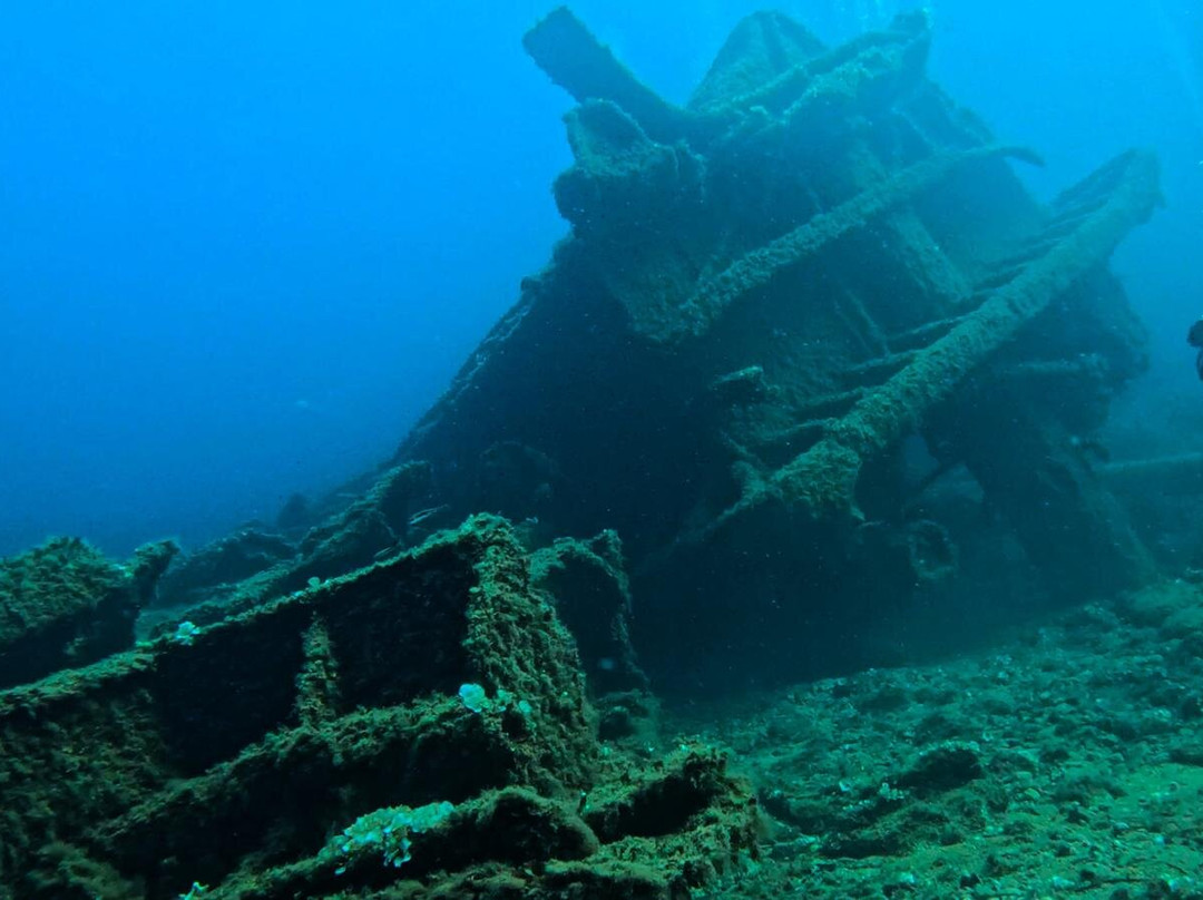 Blu Dive Center-圣特雷莎加卢拉必去景点