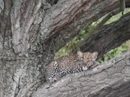 Responsible Travel Africa-吉佳利必去景点