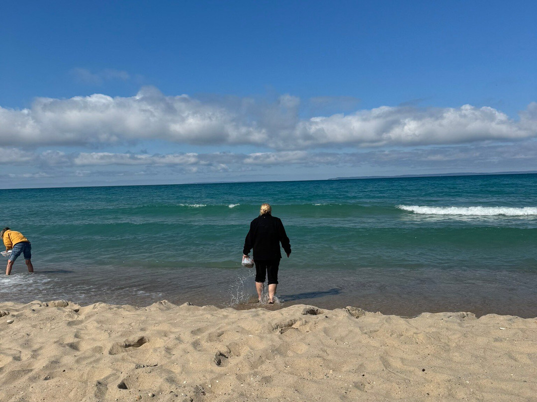 Van's Beach景点图片