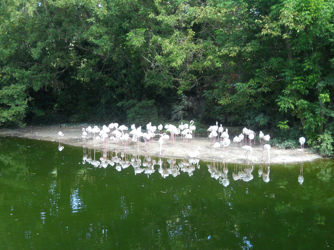 Zoo de Lyon-里昂必去景点