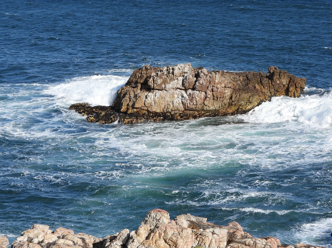Cape Whale Coast-赫曼努斯必去景点