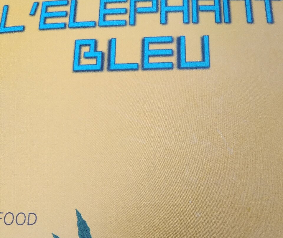 L'Elephant Bleu Cannes