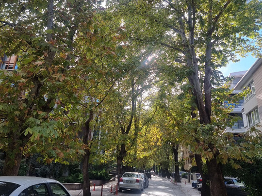 Degirmenburnu Tabiat Parki (Mesire Yeri)-Heybeliada必去景点