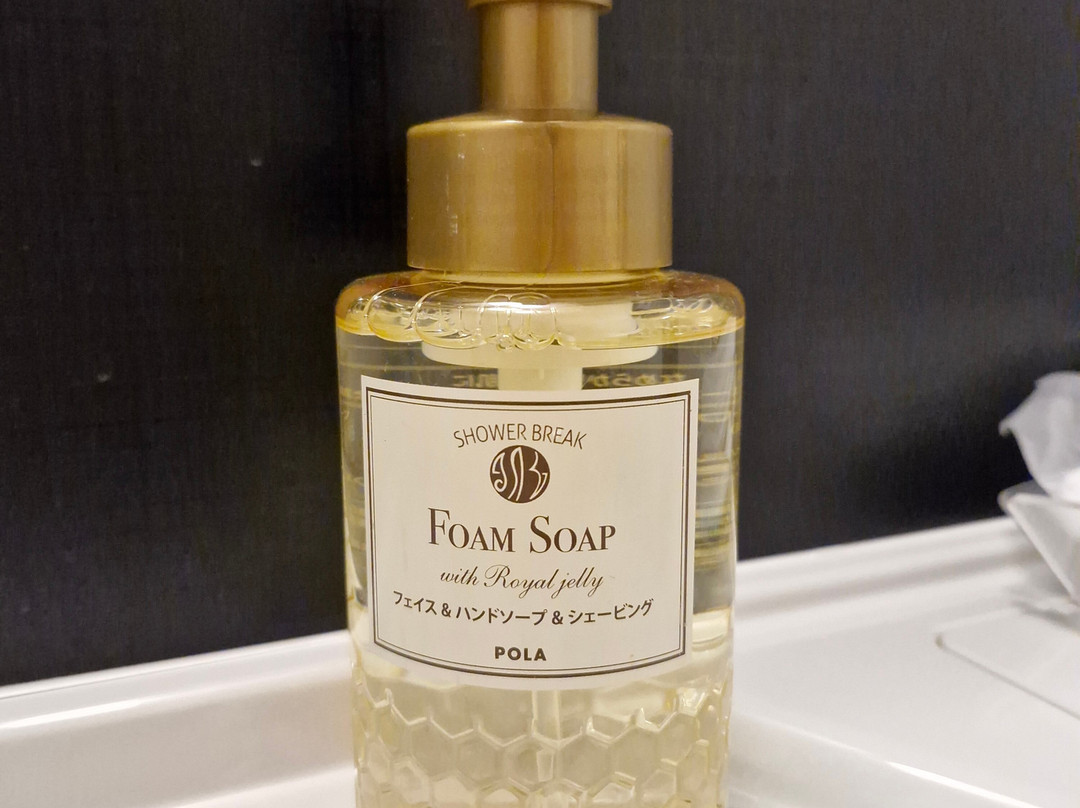 Hotel Route-Inn Grand Tokyo Asakusabashi主图
