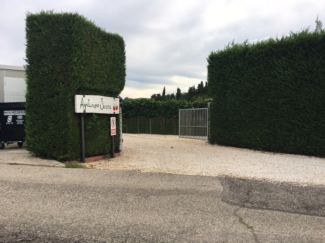 Agriturismo & Agricamping Serena主图