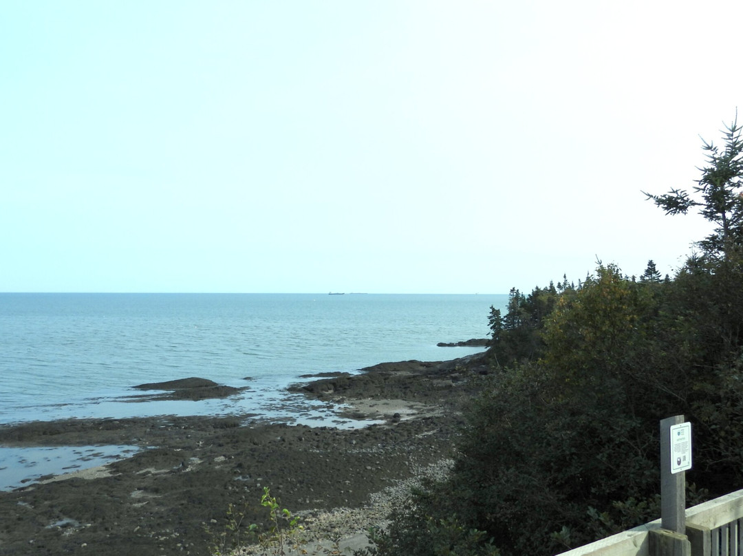 Irving Nature Park-圣约翰必去景点