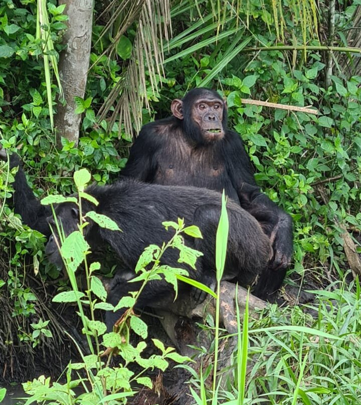 Rwizi Africa Expeditions-坎帕拉必去景点