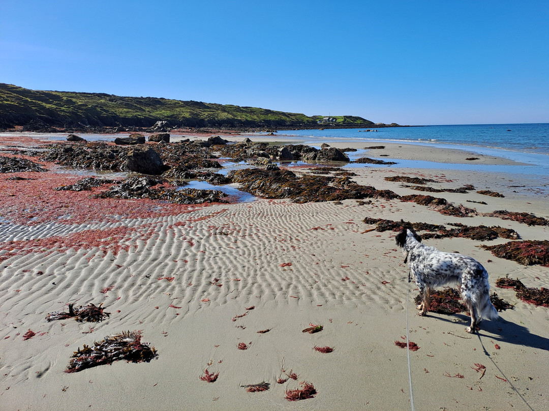 Traeth Penllech景点图片