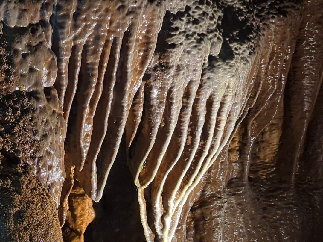 Grotte di Falvaterra-Falvaterra必去景点