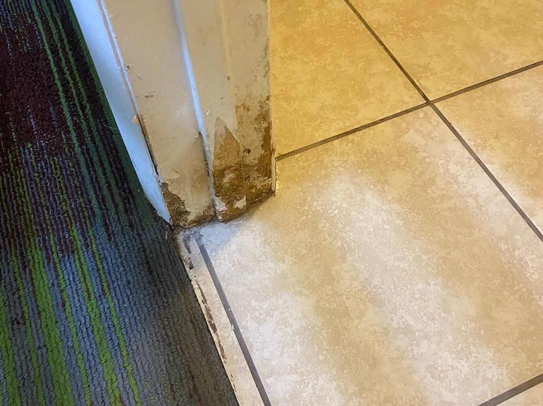 Super 8 by Wyndham Arkansas City KS主图