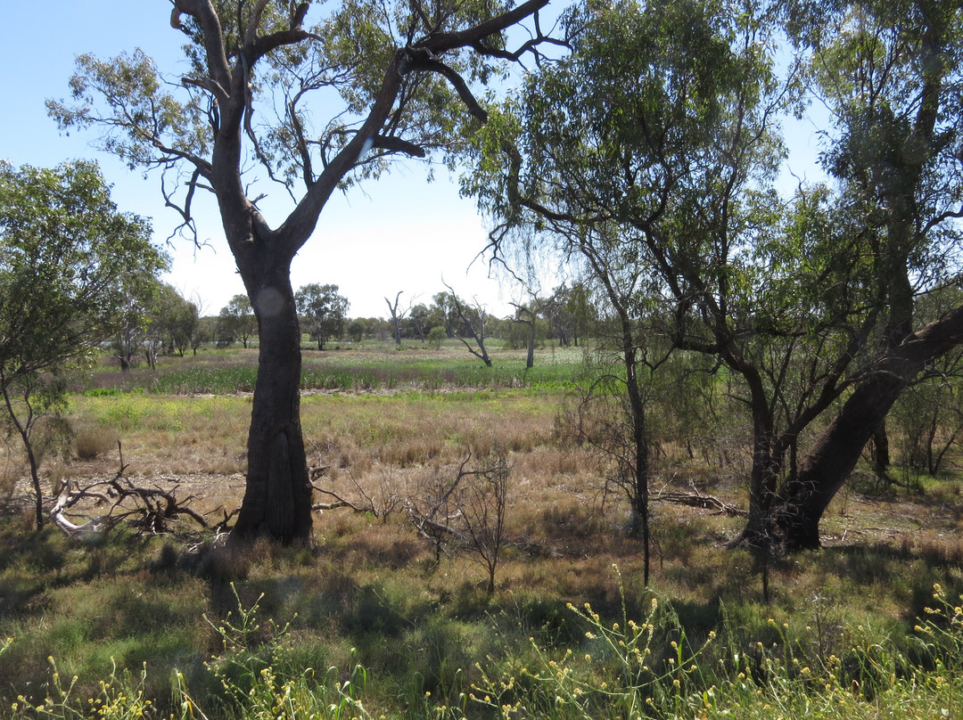 Tiger Bay Wetlands-Warren必去景点