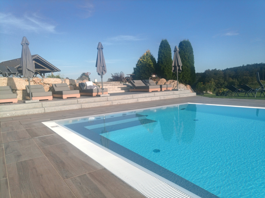 Hotel Rockenschaub主图