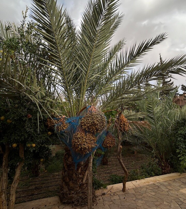 Auberge Kasbah Tiriguioute主图