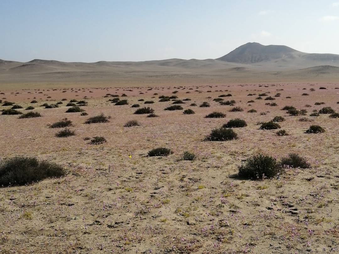 Iglesia de San Vicente de Paul-Caldera必去景点